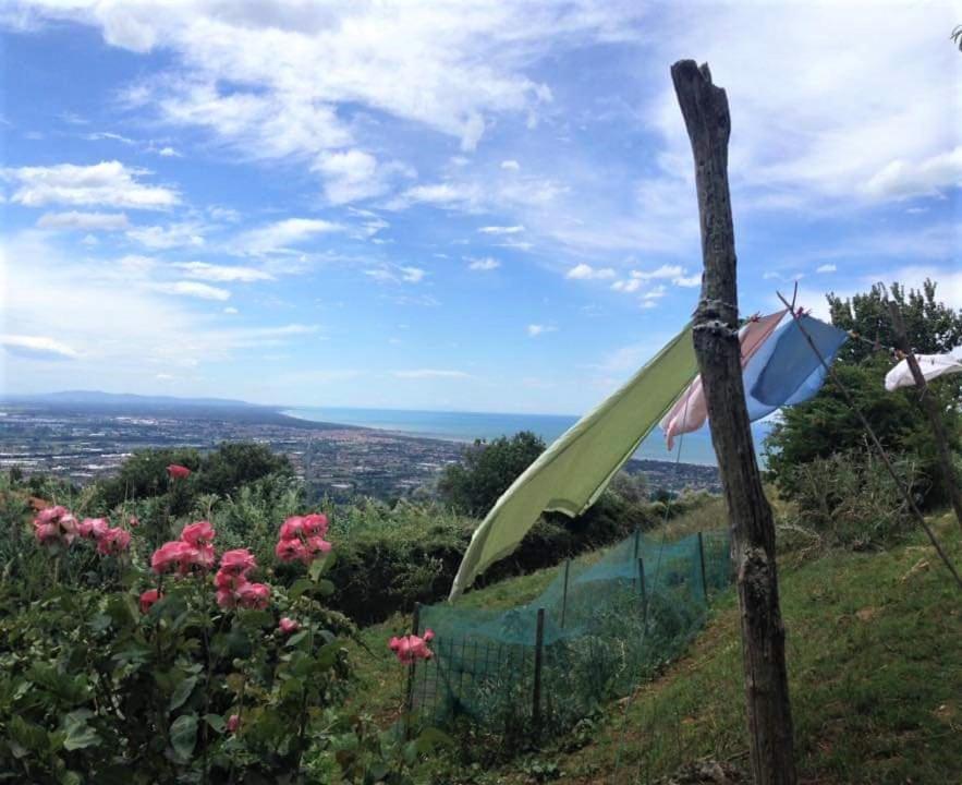 Bed & Breakfast Villa Masini-Luccetti Pietrasanta Exterior photo